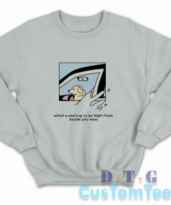 Dog Driver What A Feeling To Be Right Here Sweatshirt Color Grey